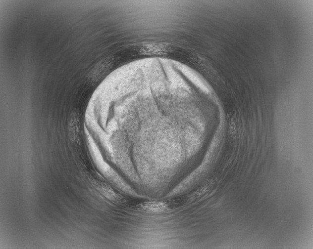 X0000052930322200508050836