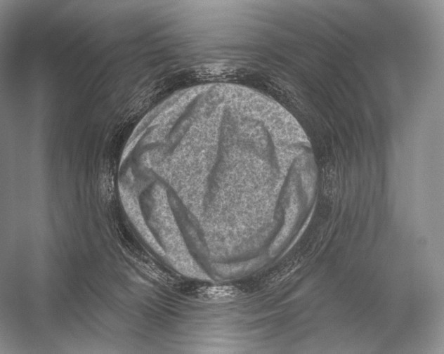 X0000052930324200508050836