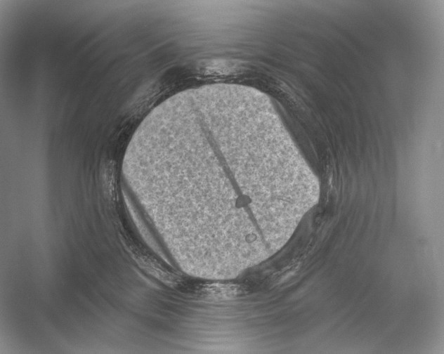 X0000052930328200508050836
