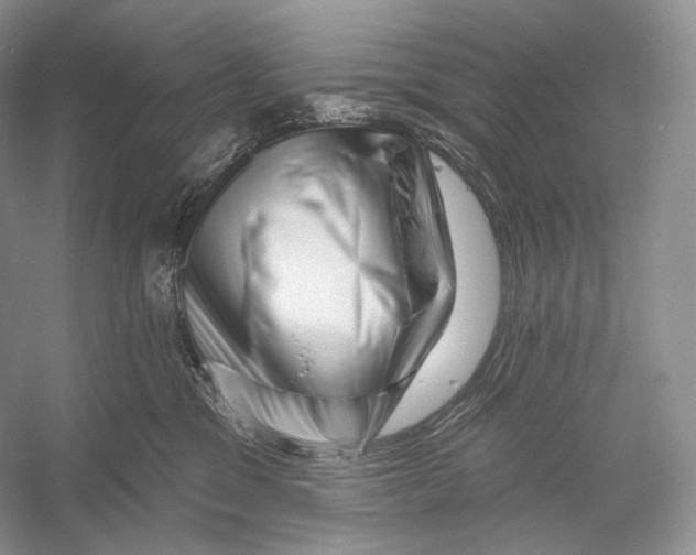 X0000052930329200508050836