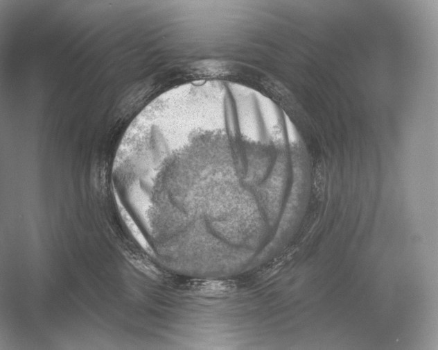 X0000052930330200508050836