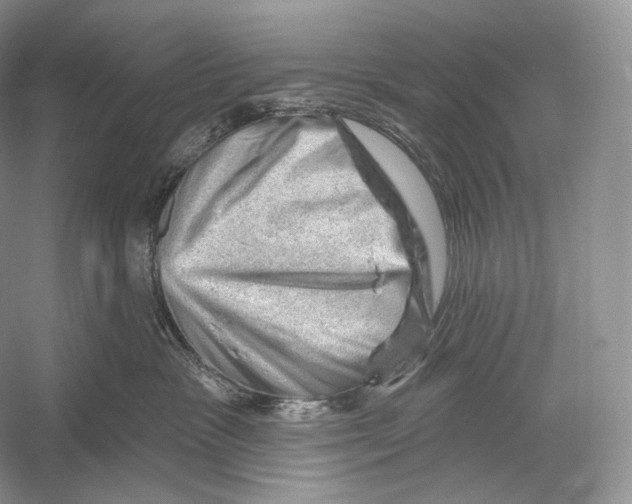 X0000052930333200508050836