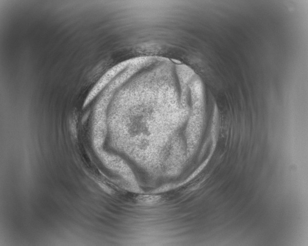 X0000052930334200508050836