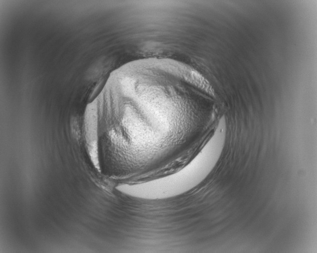 X0000052930335200508050836