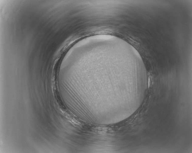 X0000052930339200508050835