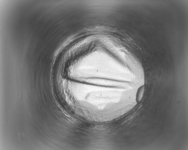 X0000052930341200508050835