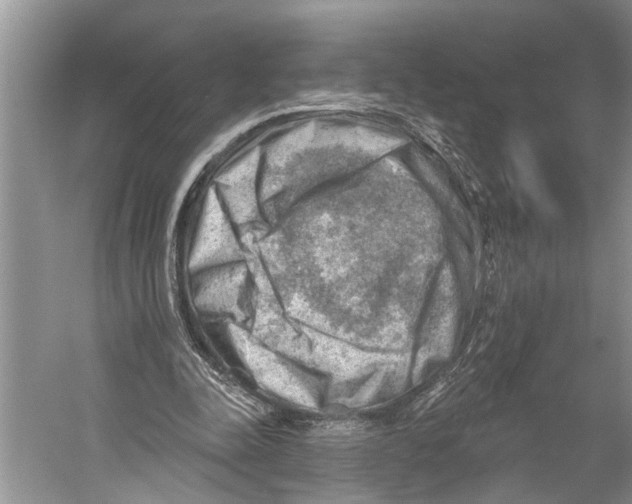 X0000052930342200508050835