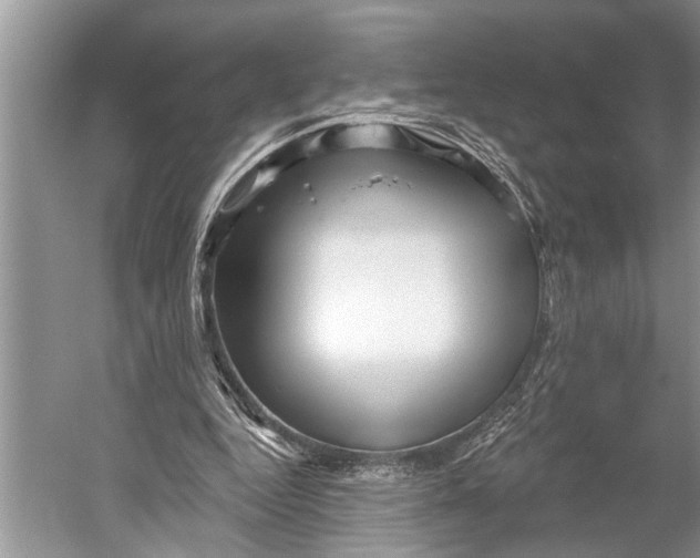 X0000052930344200508050835