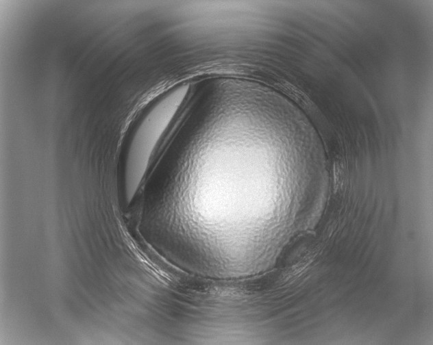 X0000052930349200508050835