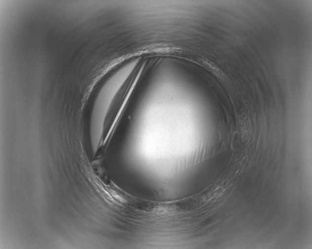 X0000052930350200508050835