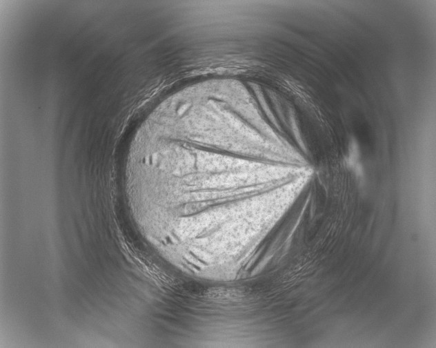 X0000052930354200508050835