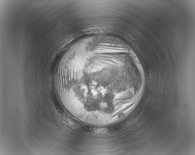 X0000052930355200508050835