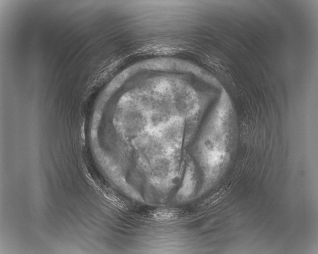 X0000052930358200508050835
