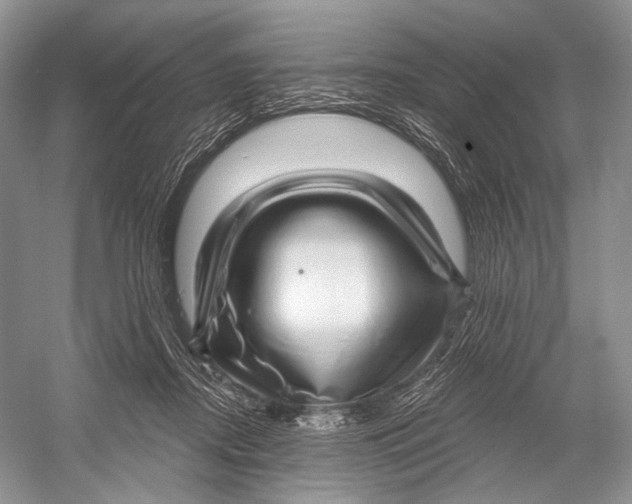 X0000052930362200508050835