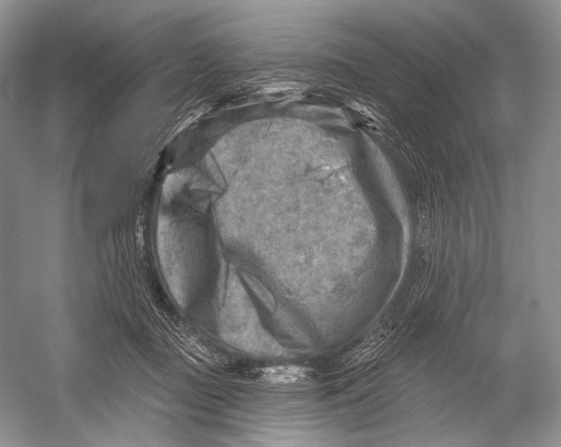 X0000052930363200508050835
