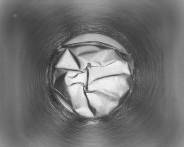 X0000052930364200508050835