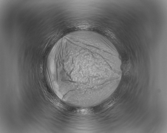 X0000052930365200508050836