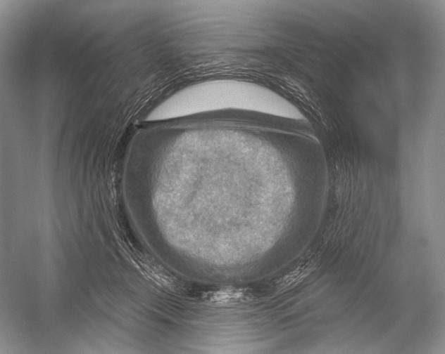 X0000052930366200508050836