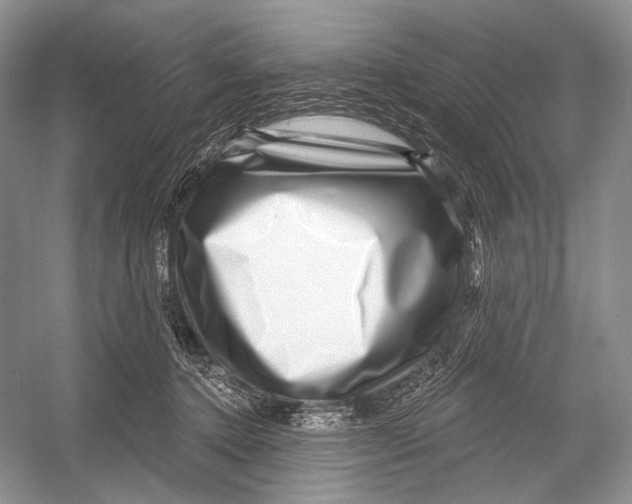 X0000052930368200508050836