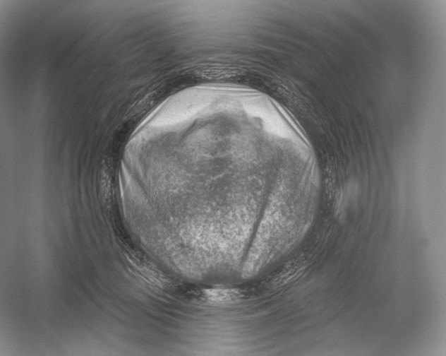 X0000052930371200508050836