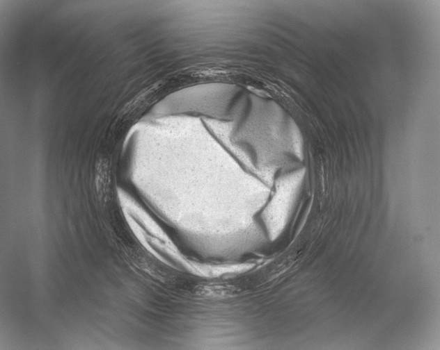 X0000052930372200508050836