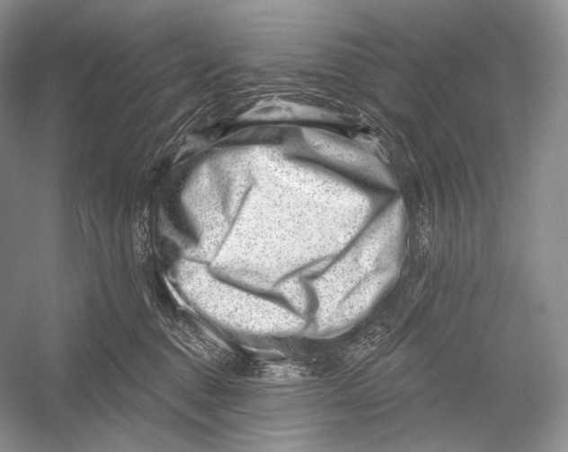 X0000052930376200508050836