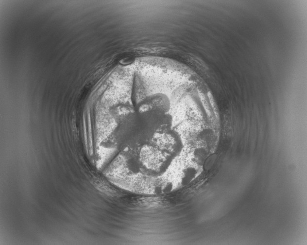 X0000052930377200508050836