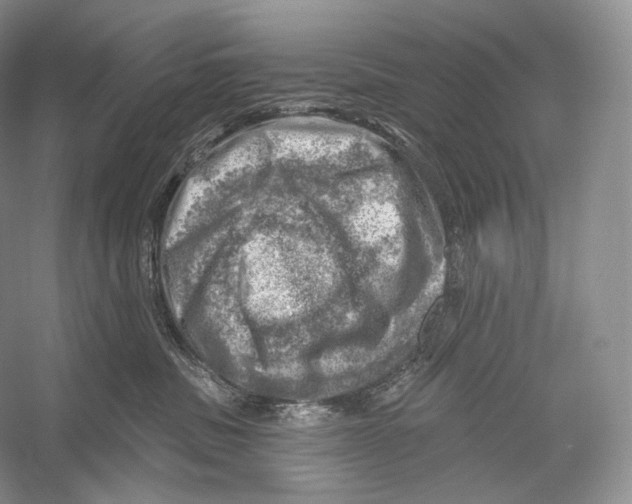 X0000052930379200508050836