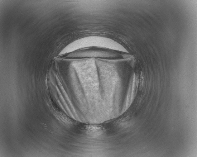 X0000052930380200508050836