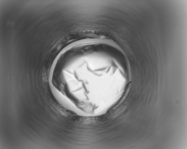 X0000052930384200508050836