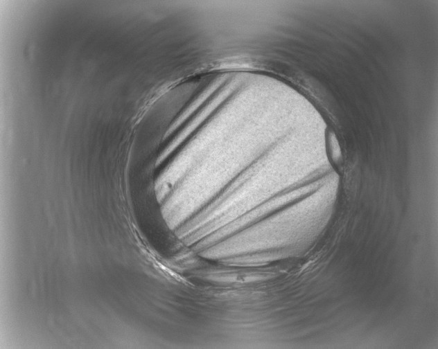 X0000052930385200508050835