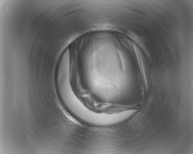 X0000052930389200508050835