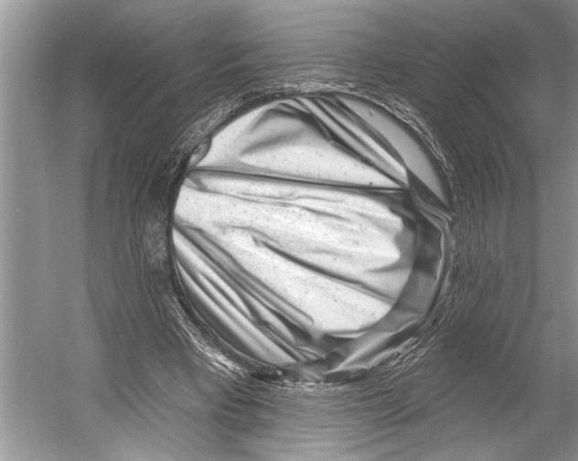X0000052930393200508050835