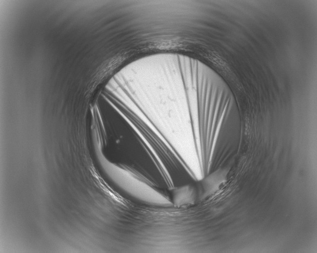 X0000052930397200508050835