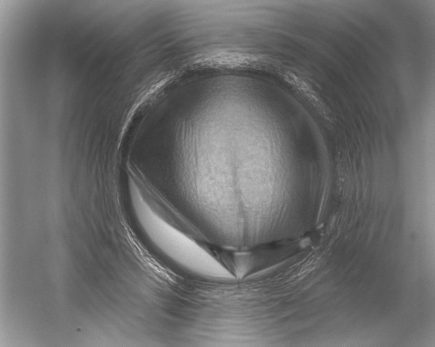 X0000052930399200508050835
