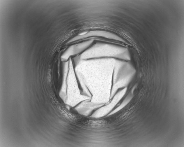 X0000052930401200508050835