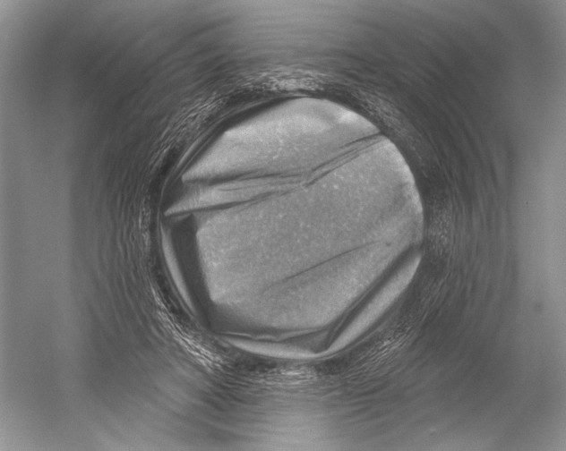 X0000052930402200508050835