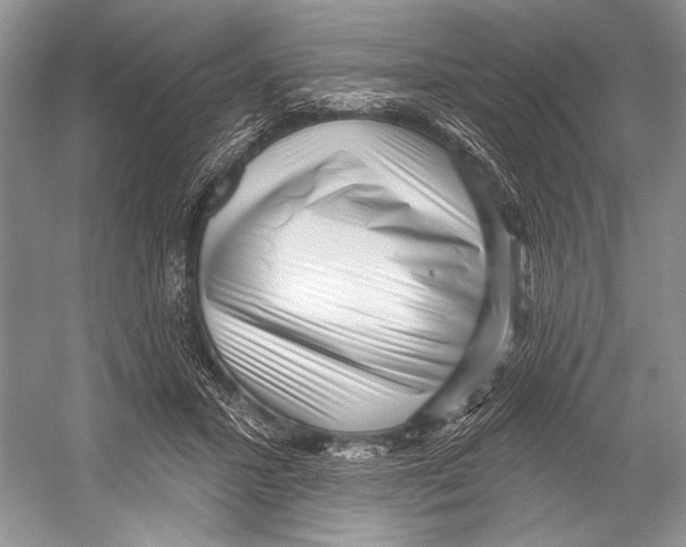 X0000052930407200508050835