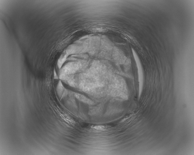 X0000052930409200508050835