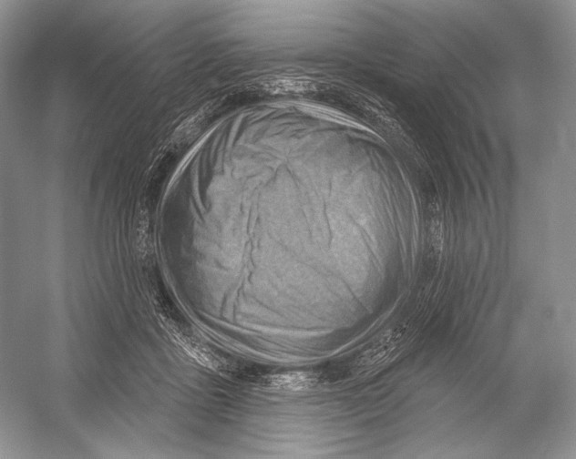X0000052930411200508050835