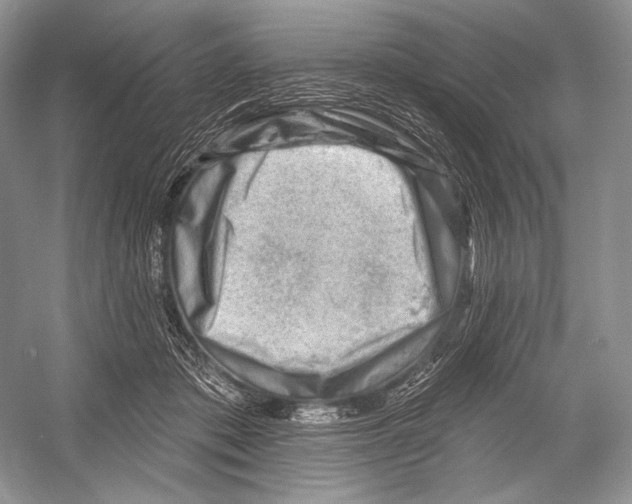 X0000052930413200508050835