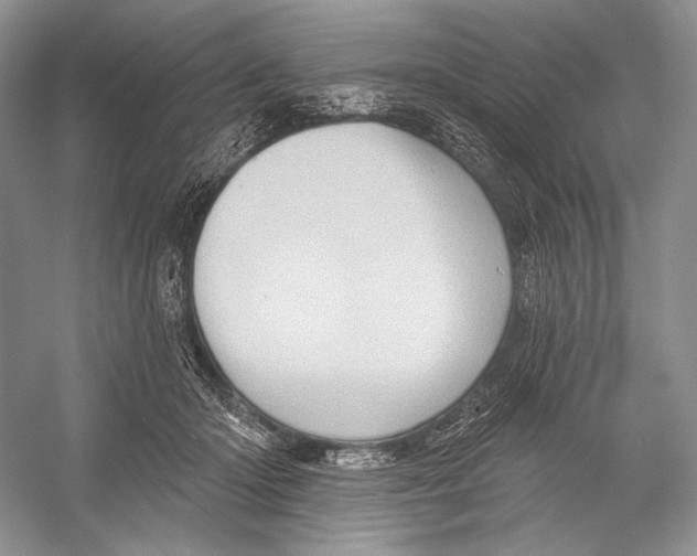 X0000052930414200508050835