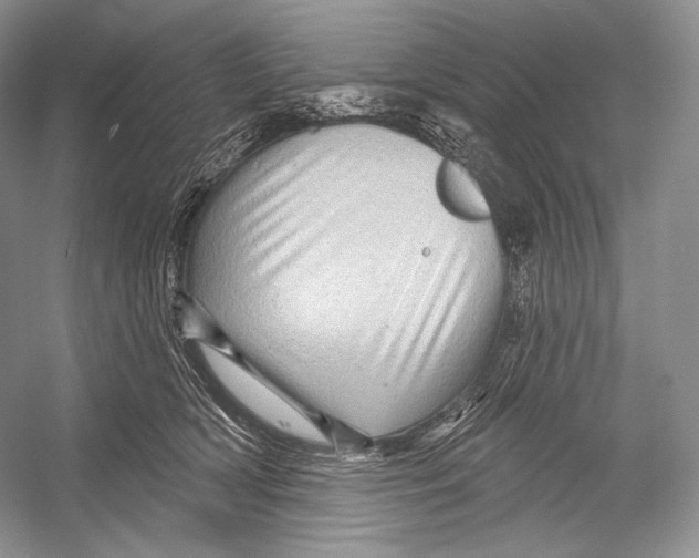 X0000052930418200508050834