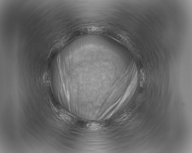 X0000052930419200508050834