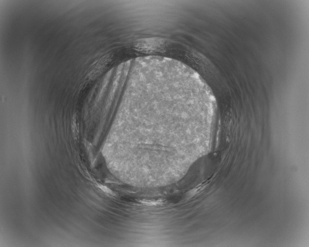 X0000052930420200508050834