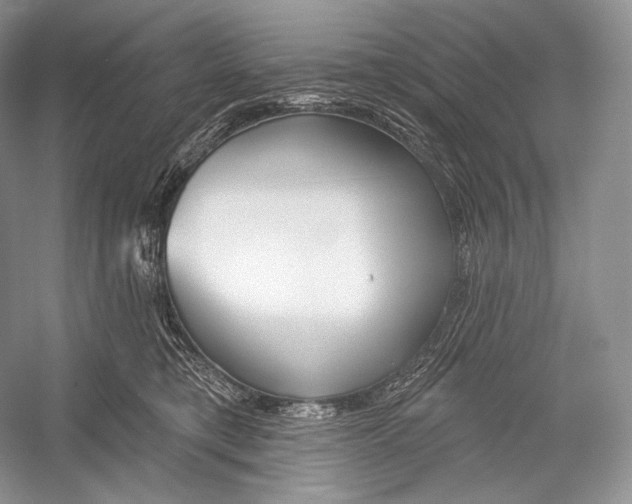 X0000052930421200508050834