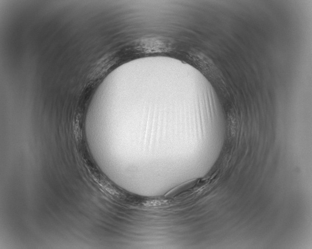 X0000052930422200508050834