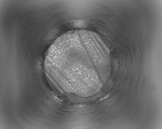 X0000052930424200508050834
