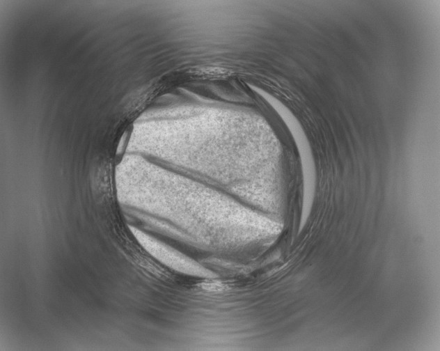 X0000052930425200508050834