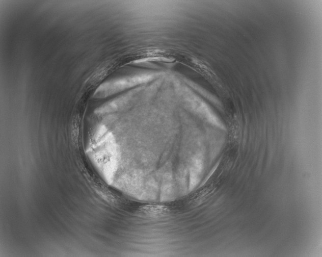 X0000052930427200508050834